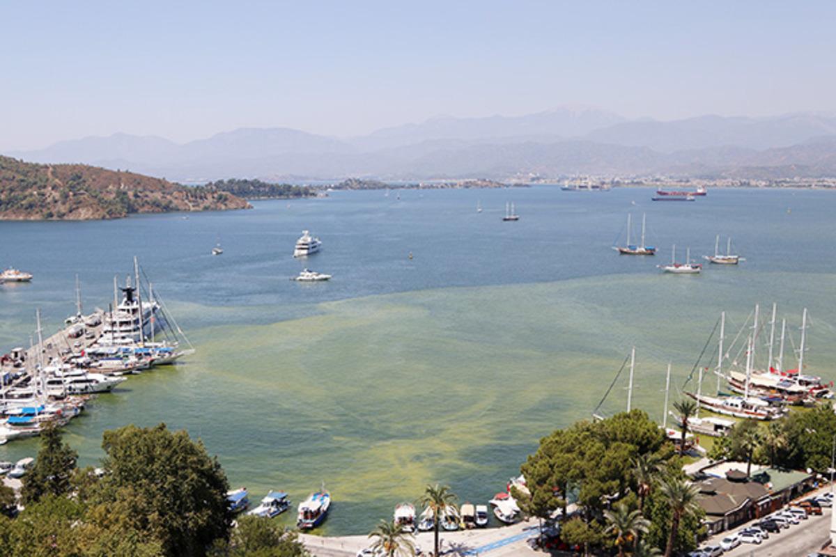 Fethiye K&ouml;rfezi'ndeki renk değişiminin nedeni belli oldu