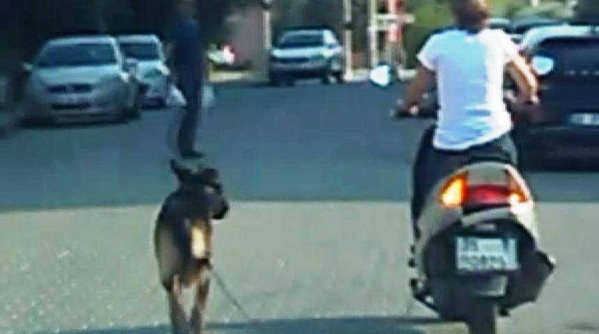 Muğla Dalaman'da k&ouml;peğini motosiklete bağlayan kadına tepki
