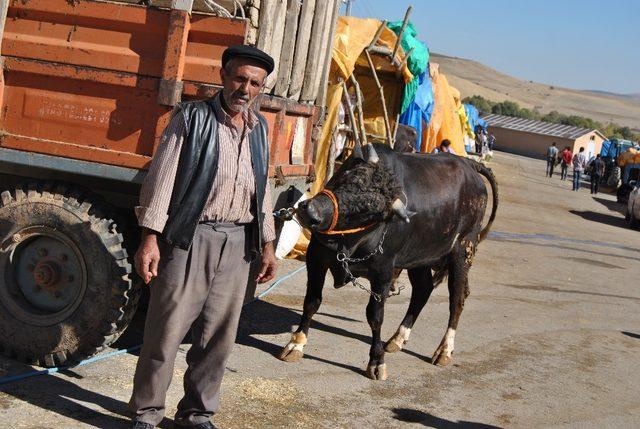 Çetindağ: “Kulak küpesi olmayan hayvanları almayın”