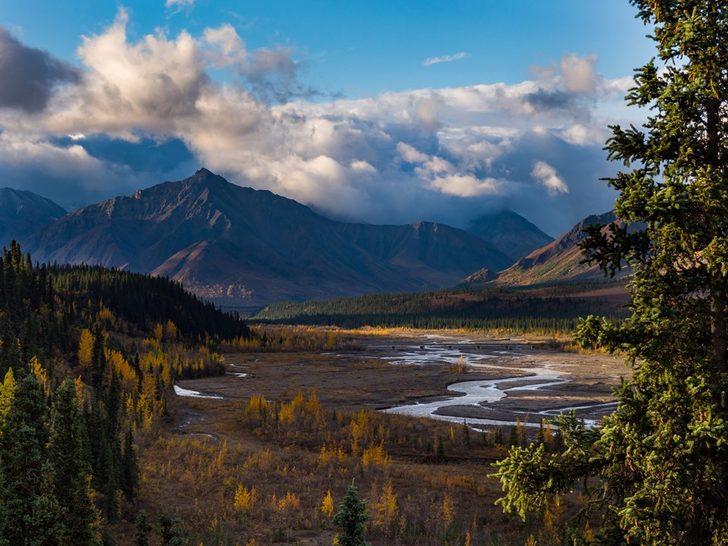 Into the Wild filmine özendi hayatından oldu G5