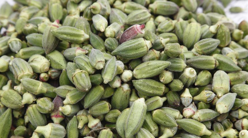 Kış için son hazırlıklar devam ediyor: Buzlukta bamya nasıl saklanır?