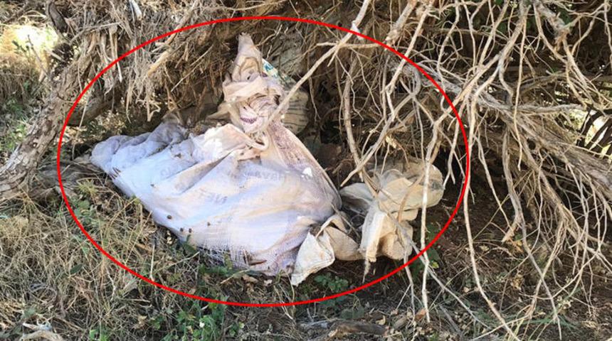 Ter&ouml;ristlerin ağa&ccedil;lar arasına gizlediği &ccedil;uvalların i&ccedil;inden &ccedil;ıktı