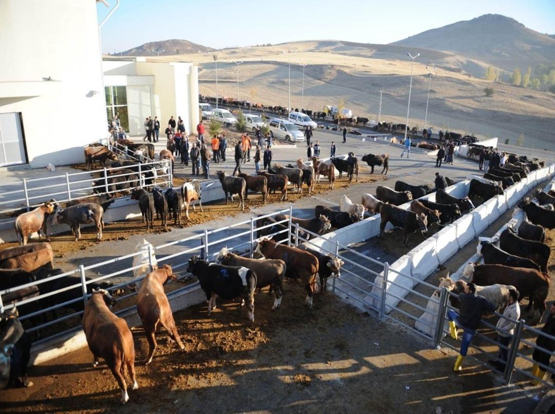 Altındağ&rsquo;da kurban kesim yerleri belirlendi