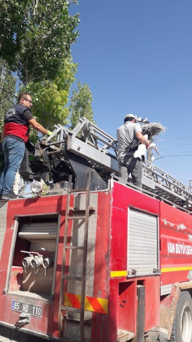 İtfaiye ekipleri, yuvadan düşen leylek için seferber oldu