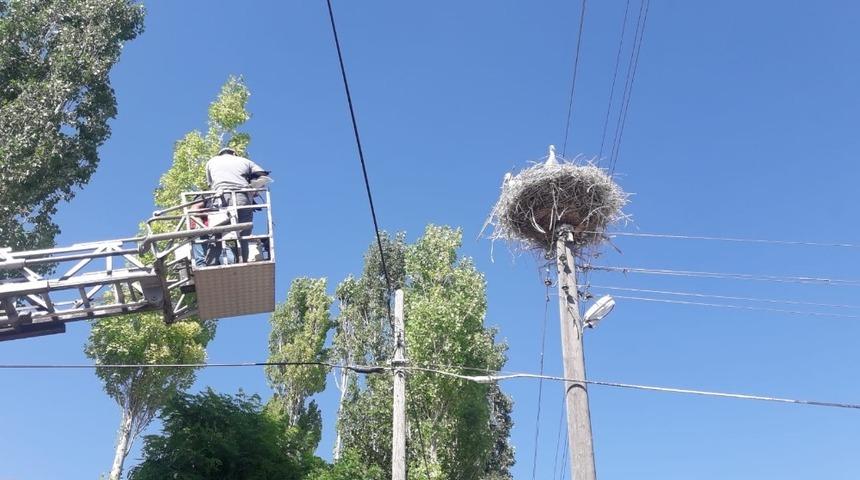 İtfaiye ekipleri, yuvadan d&uuml;şen leylek i&ccedil;in seferber oldu