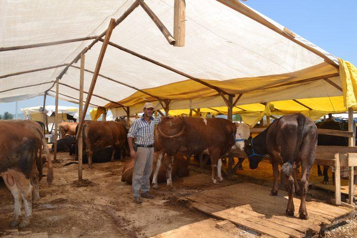 Kurban Bayramına sayılı günler kala kurbanlıklar tükendi G2