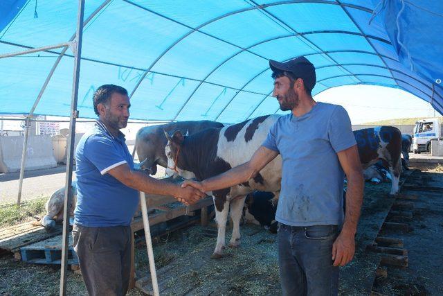 Sincan’da Kurban Bayramı hazırlıkları tamamlandı