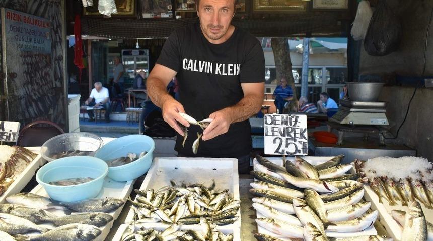 Balık&ccedil;ıların yeni sezonda umudu palamut