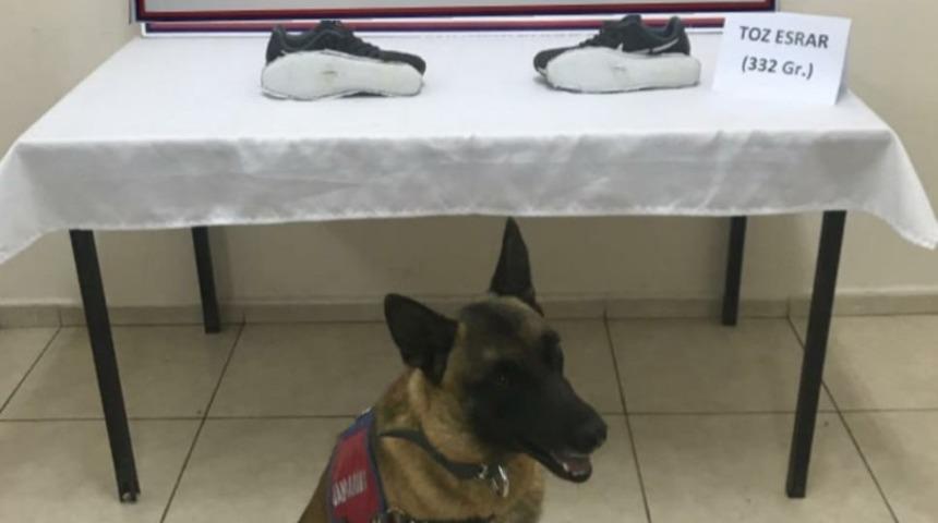 Yine ayakkabı tabanı yine esrar