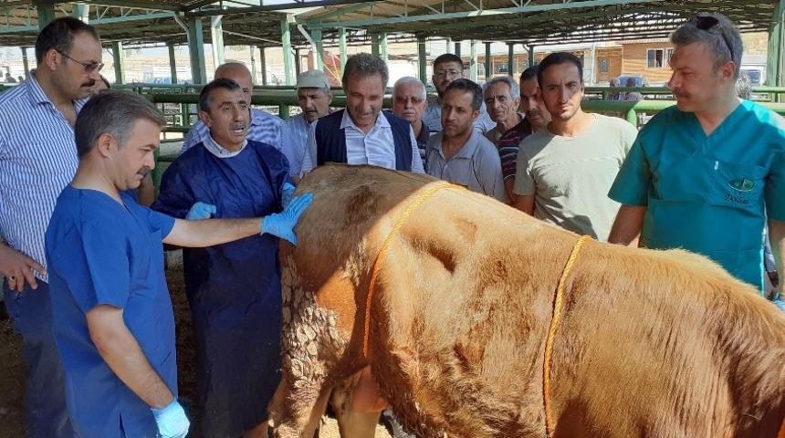 Malatya’da kurban kesim kursu düzenlendi