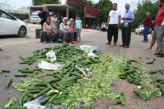 Salatalığın kilosunun 20 kuruşa düşmesini protesto ettiler 4