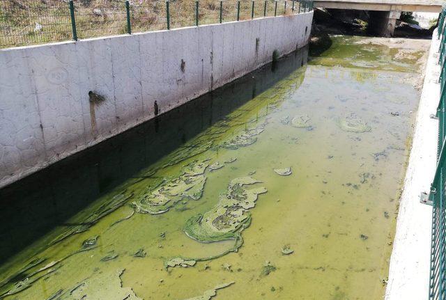 Tekirdağ'da dereyi kirleten işletme, 144 bin lira ceza uygulanıp kapatıldı