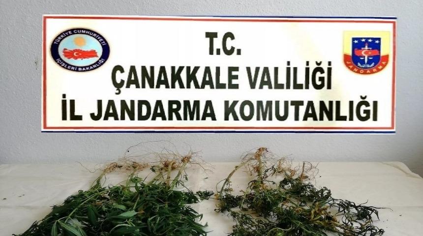 &Ccedil;anakkale&rsquo;de uyuşturucu operasyonu: 1 g&ouml;zaltı