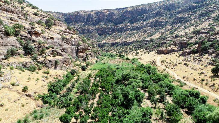 Şırnak'ın gizli bahçesi: Cehennem Deresi G5