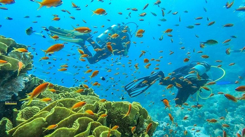 Mersinli dalgı&ccedil;lar, Kızıldeniz&rsquo;in b&uuml;y&uuml;l&uuml; d&uuml;nyasına daldı