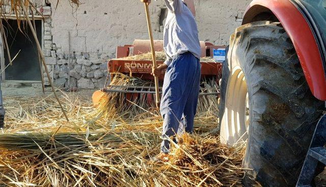 Hayvanların kışlık yiyecekleri zahmetler içinde hazırlanıyor