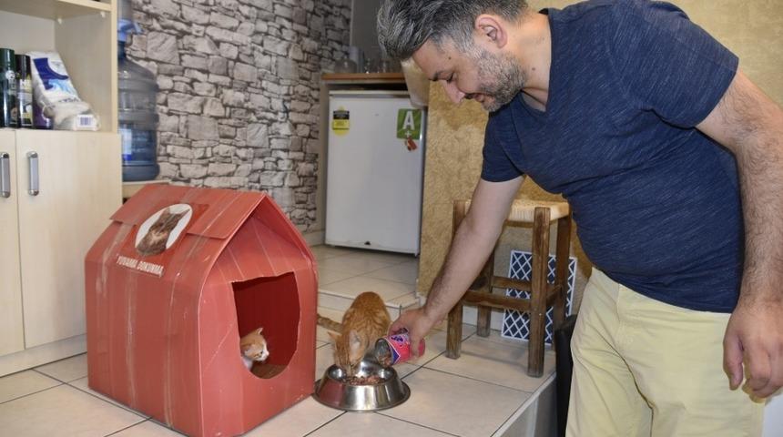 Pendik&rsquo;te hayvansever kuaf&ouml;r, sokak kedisini sahiplendi