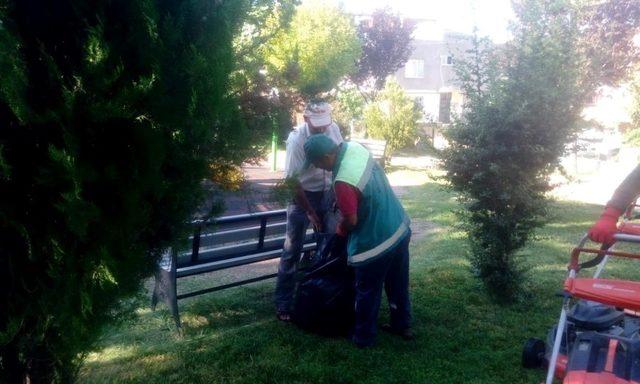 Parklarda bakım, onarım ve düzenleme çalışması