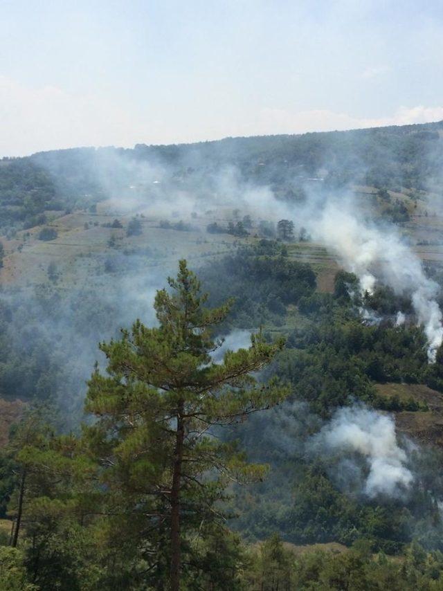 Dikmen’deki orman yangınına helikopterli müdahale