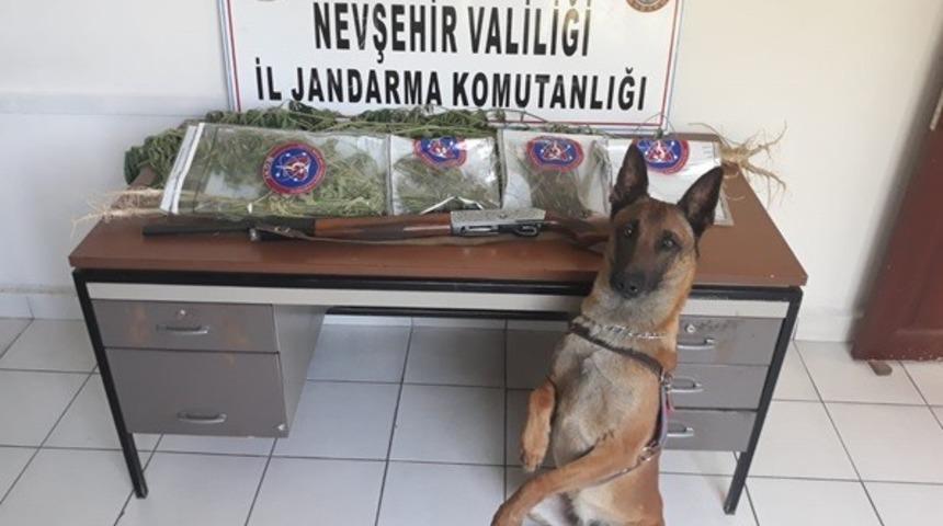 Mısır tarlasında uyuşturucu ele ge&ccedil;irildi