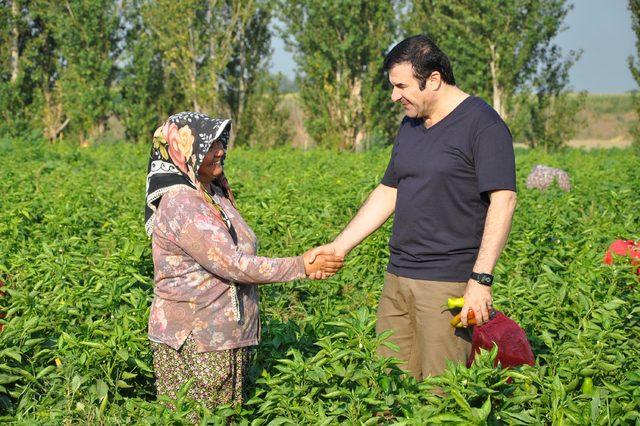 Tire Kaymakamı Tarıseven'den mevsimlik işçilere ziyaret