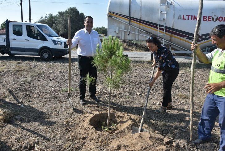 Başkan Dutlulu ‘Daha yeşil bir Akhisar’ için kolları sıvadı G3