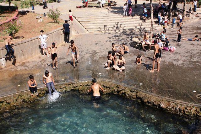 Sıcaklardan bunalan süs havuzlarına koştu