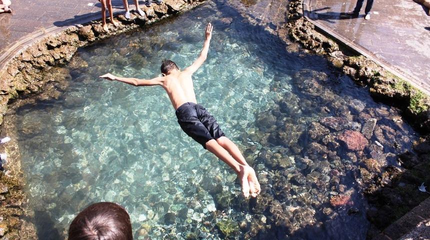 Sıcaklardan bunalan süs havuzlarına koştu