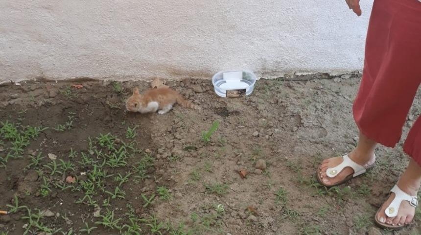 Balıkesir&rsquo;de havalandırma boşluğuna d&uuml;şen kediyi itfaiye kurtardı