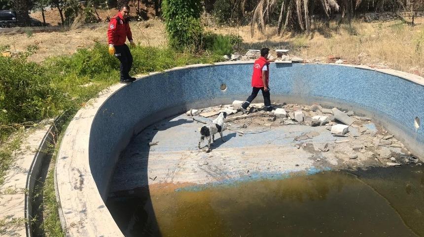 Balıkesir&rsquo;de havuza d&uuml;şen k&ouml;peği itfaiye kurtardı