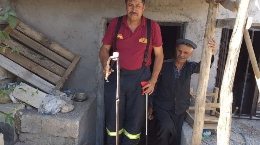 Eve giren yılan etkisiz hale getirildi