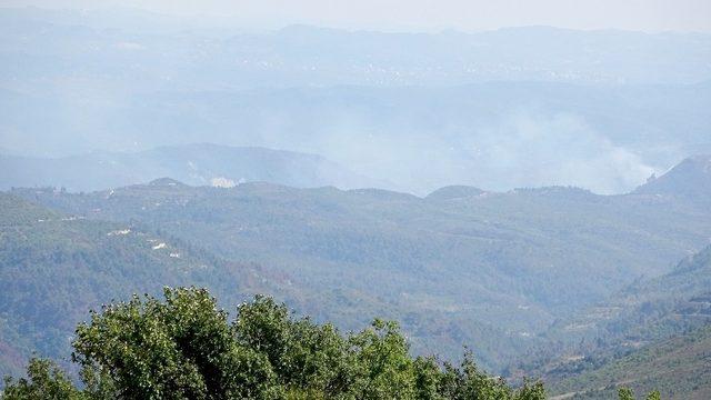 Hatay sınırında orman yangını