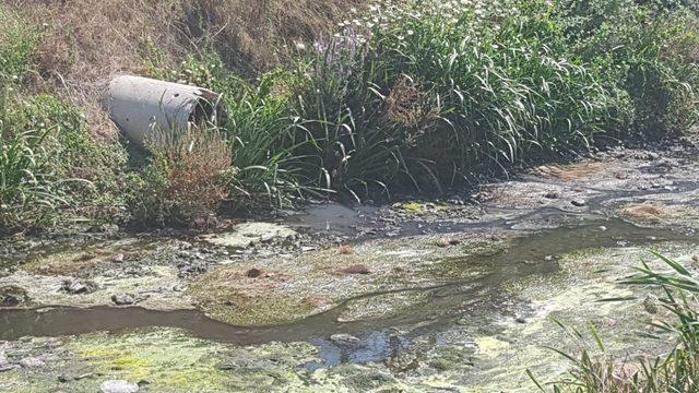 Gemlik’te Karsak deresi köpük içinde