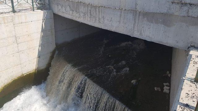 Gemlik’te Karsak deresi köpük içinde