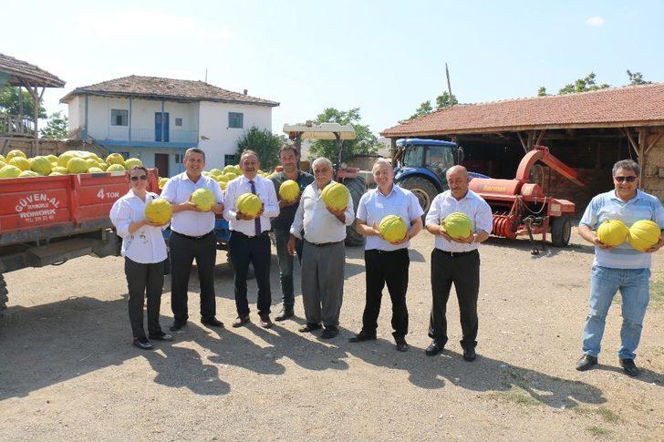 Sungurlu’da 10 dilim kavun hasadı başladı G3