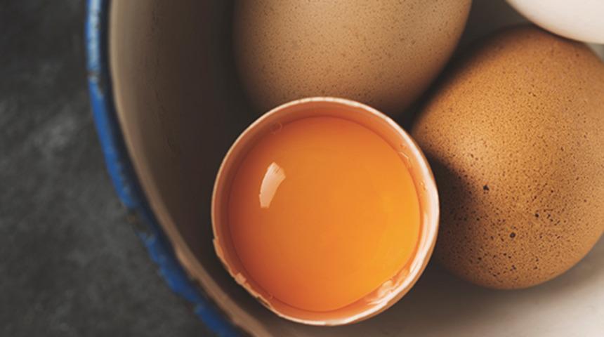 Belçika'da 'yumurta' krizi! Toplatılıyor: 'Tüketmeyin' uyarısı