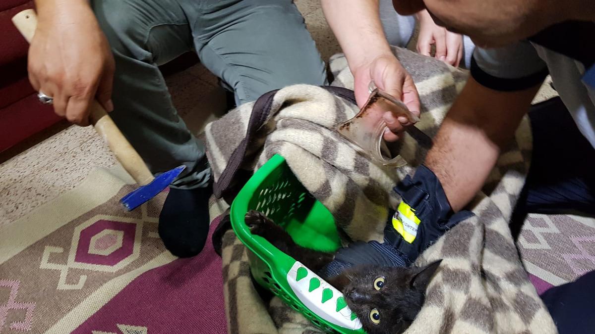 10 g&uuml;nd&uuml;r boynunda kavanoz par&ccedil;asıyla gezen kedi, kurtarıldı