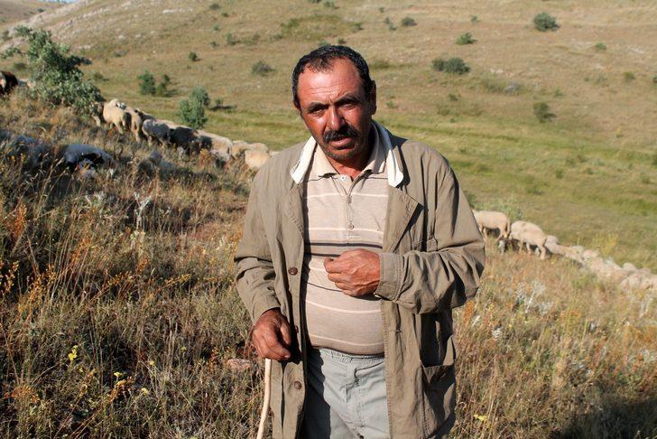 Bayburt'ta dere yatağında sıkışan 265 koyun telef oldu! G5