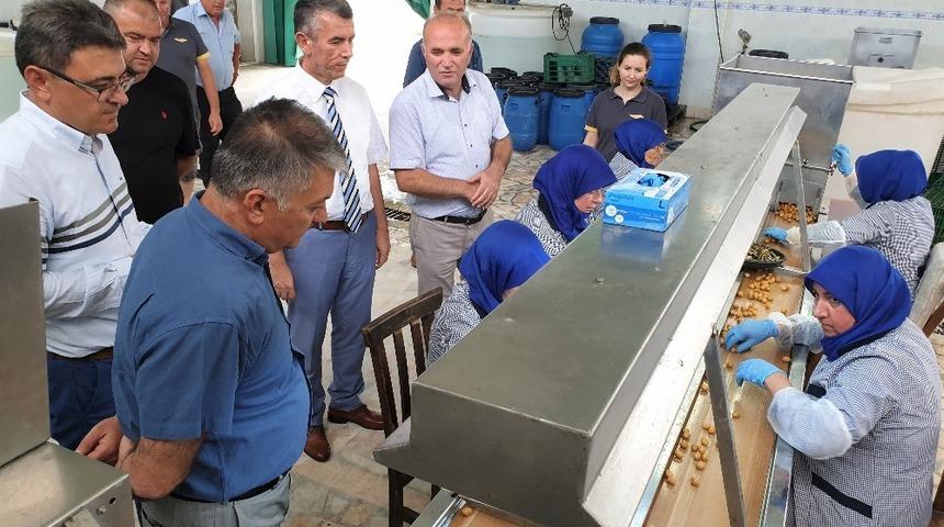 Vali Yazıcı &ldquo;&Uuml;lkemizde insanların zeytinyağı t&uuml;ketimini yaygınlaştırmamız lazım&rdquo;