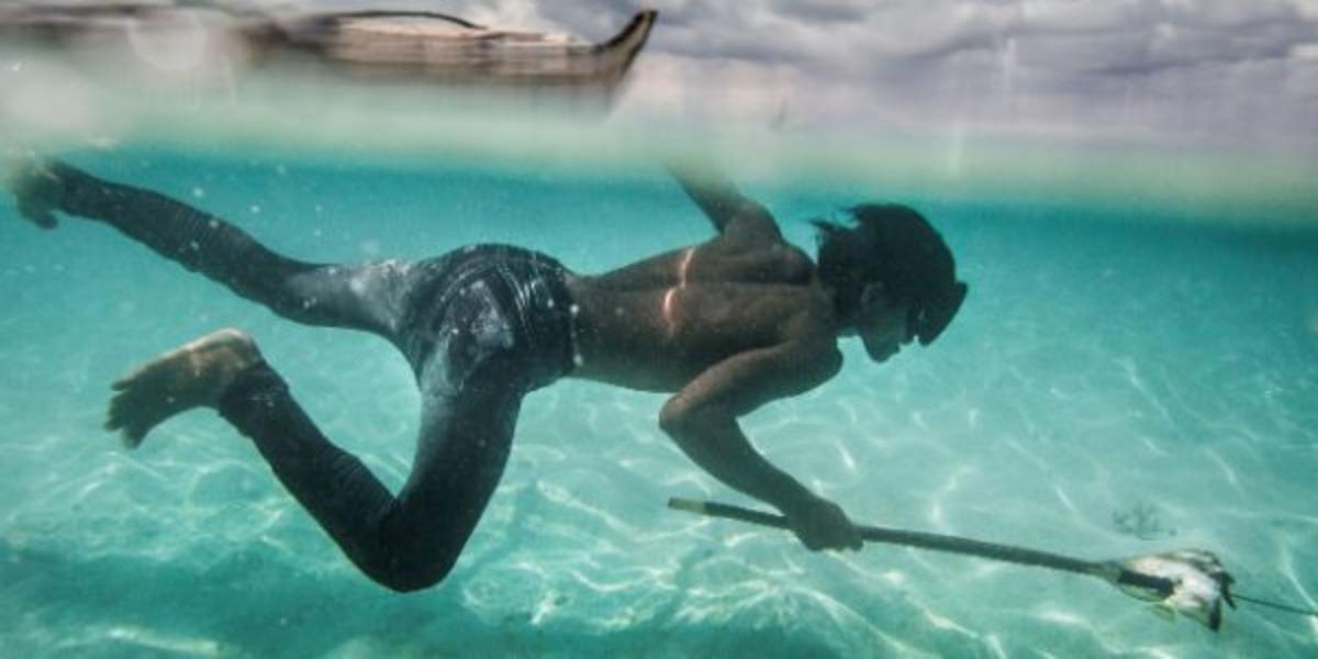 Deniz &ccedil;ingeneleri denilen Bajau kabilesi evrim mi ge&ccedil;irdi? 