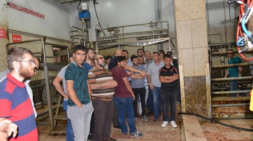 Melikgazi Belediyesi&rsquo;nden Kurban Kesim Kursu