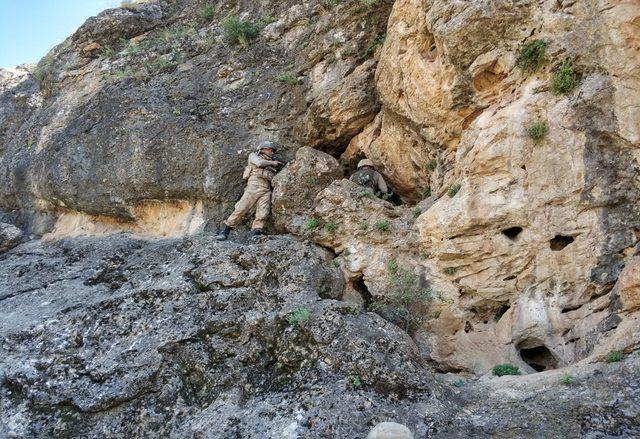 PKK operasyonunda 1 milyon 288 bin kök Hint keneviri ele geçirildi