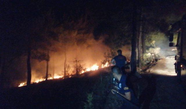 Amasya'da havai fişekten orman yangını çıktı