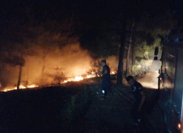 Amasya'da havai fişekten orman yangını çıktı