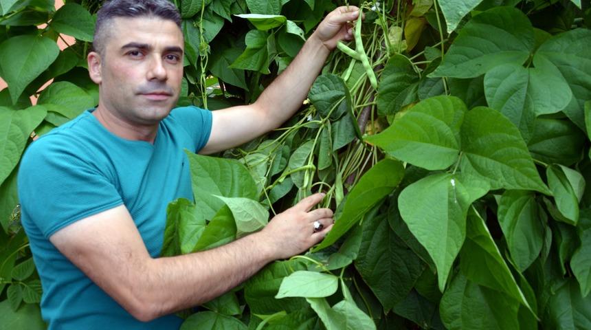 Bu ilçede ilk kez karpuz yetiştirildi