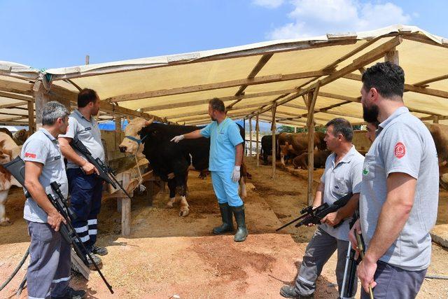 Kurban yakalama timi bayrama hazır