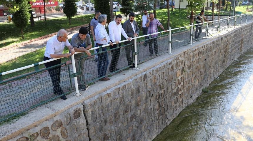 Baydilli Karak&ouml;pr&uuml;&rsquo;y&uuml; sokak sokak geziyor