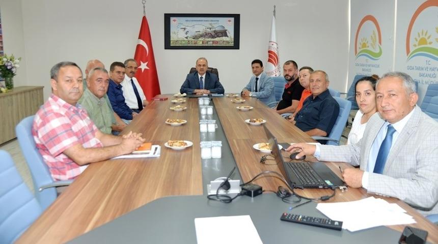 Yalovalı kesme &ccedil;i&ccedil;ek &uuml;reticilerinin meseleleri tartışıldı