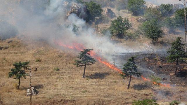 Tokat’ta aşırı sıcaklar ot yangınına neden oldu