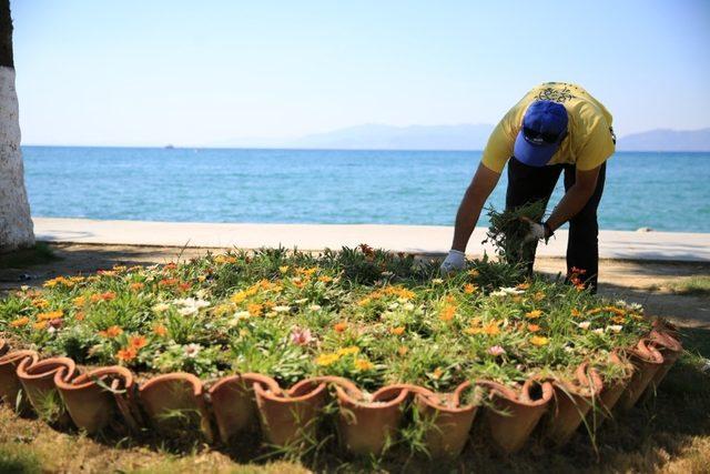 Büyükşehir Kuşadası’nı çiçeklerle donattı